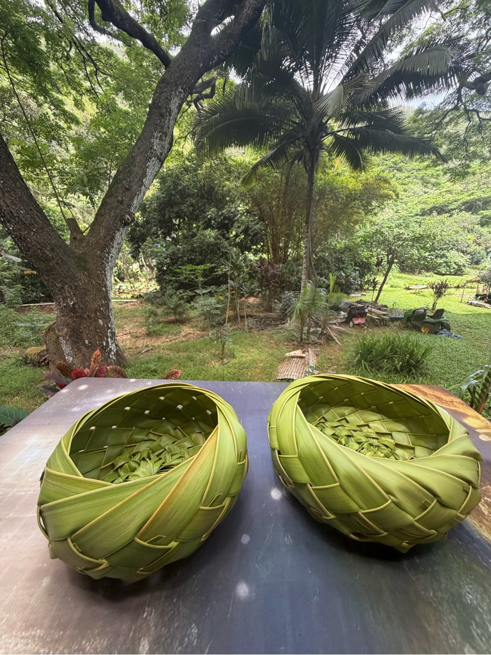 Handwoven Green coconut Leaf Storage Baskets / fruit bowl - Set of 2